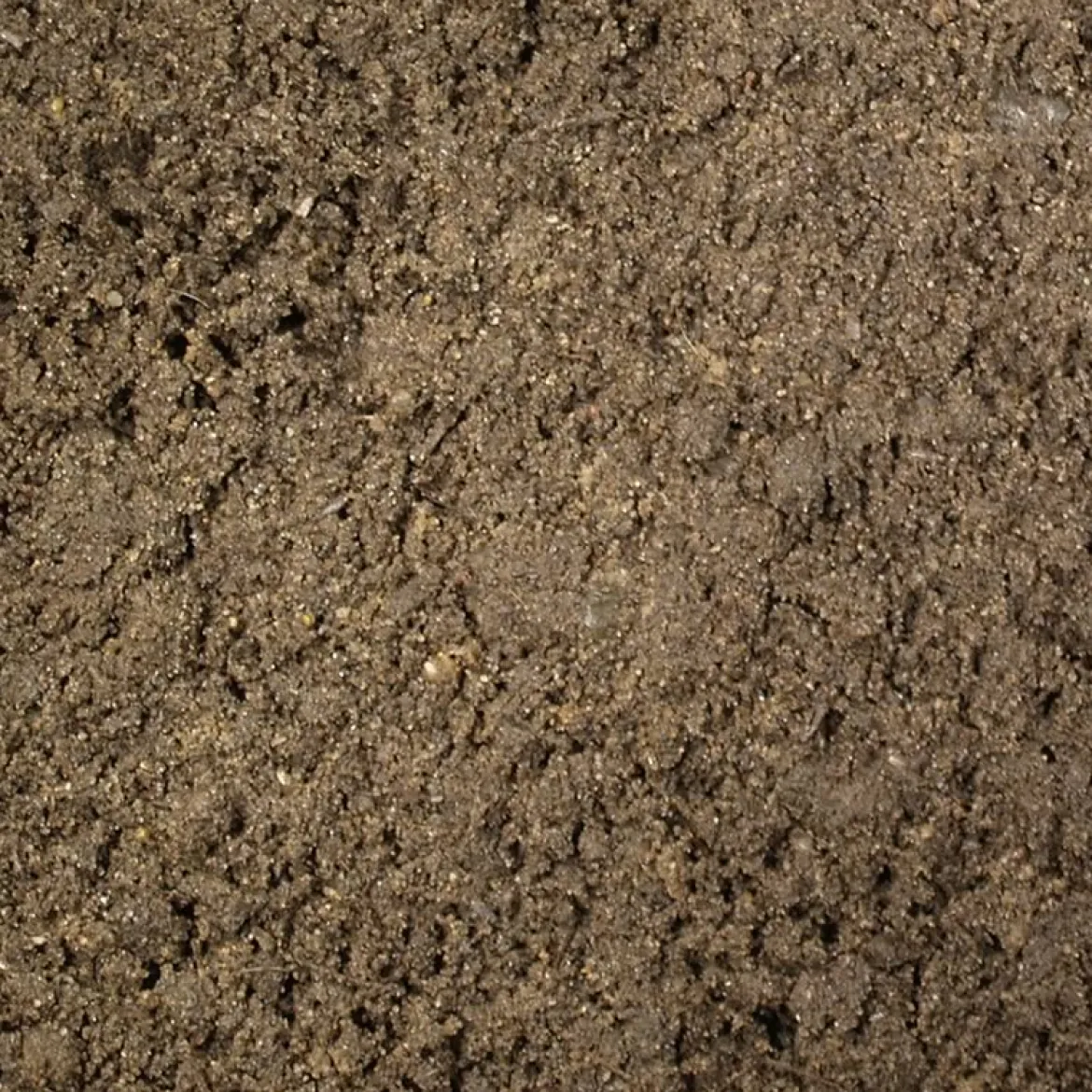 Allétræsmuld - 500 liter