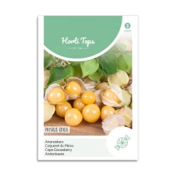 Ananaskirsebær frø "Cape Gooseberry"