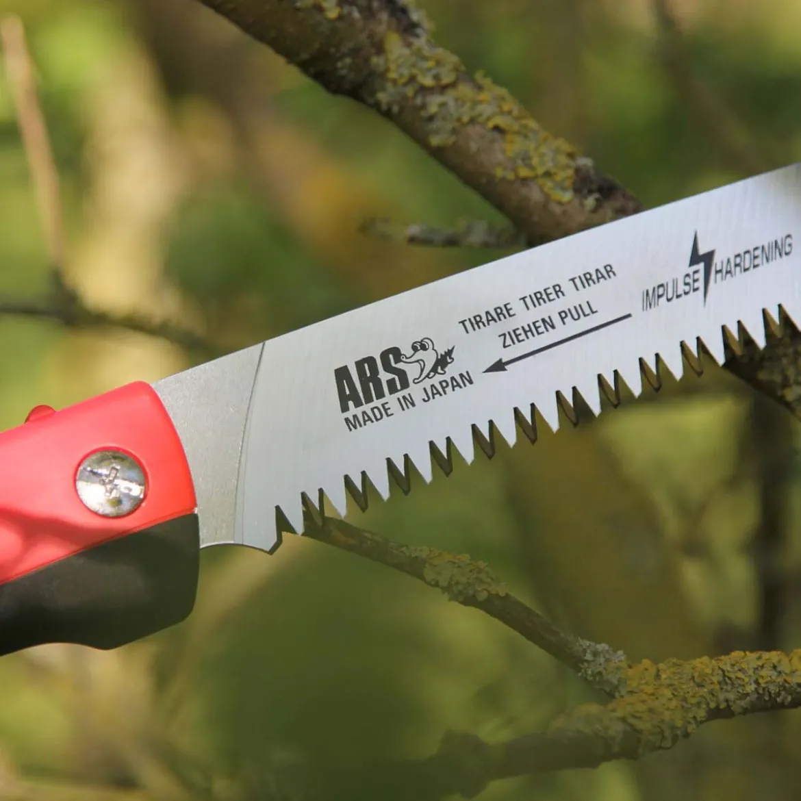 ARS grensav CAM-24 PRO med hylster