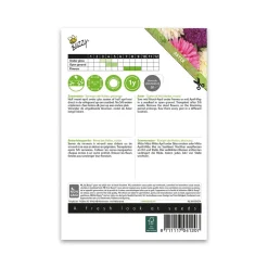 Asters frø, "Queen of the market" - mix