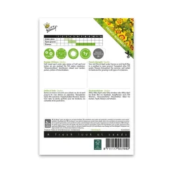 Buzzy® French Marigold Starfire