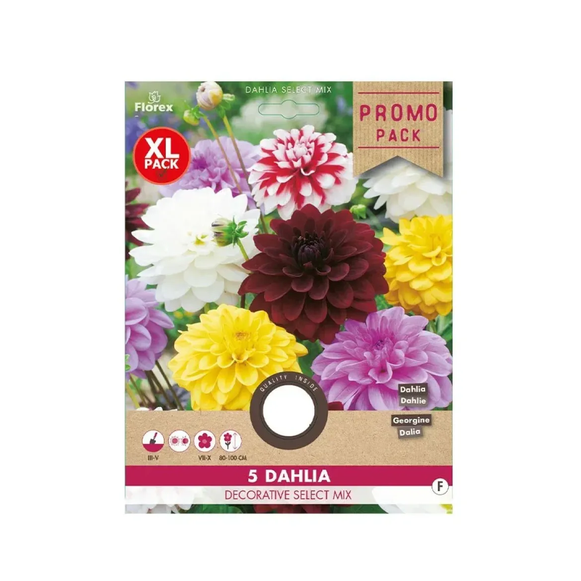 Dahlia "Dekorativt mix" - 5 knolde