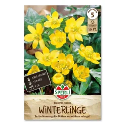 Erantis 'Eranthis Cilicica'