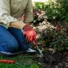 Felco 441 - Smal planteske
