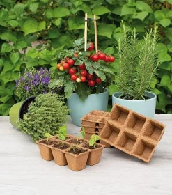 Fiberbakke til forspiring med 6 rum, 6 x 6 cm - 14 stk