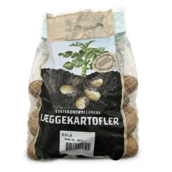 Gala læggekartofler - 1,5 kg. (middel tidlig)