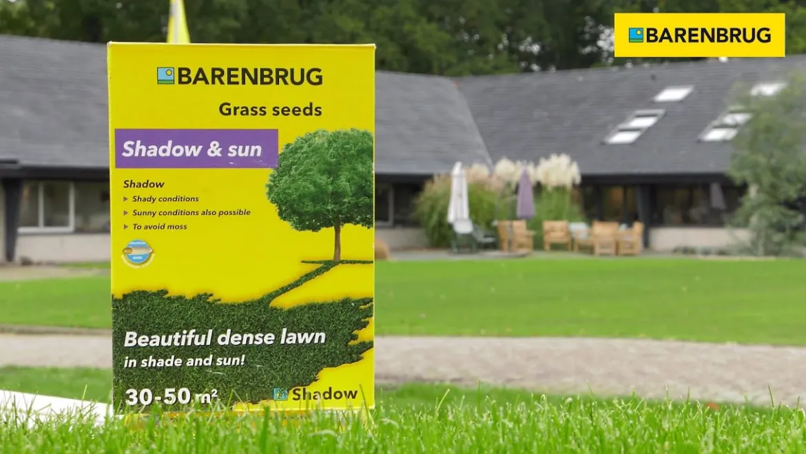 Græsfrø Barenbrug Shadow plænegræs - 1 kg