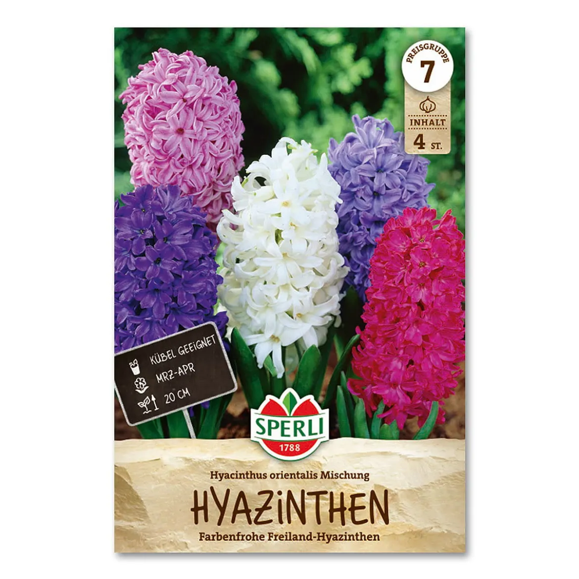Hyacint 'mix'