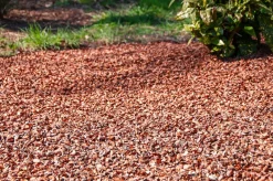 Kakao-flis, kakaoskaller - 1500 liter