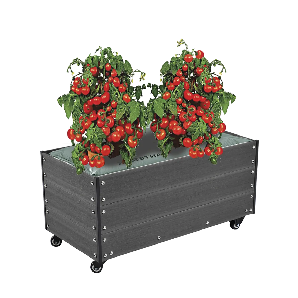 Kapilærskjuler HORTUS inkl. hjul, WPC 36 x 50 x 90 cm