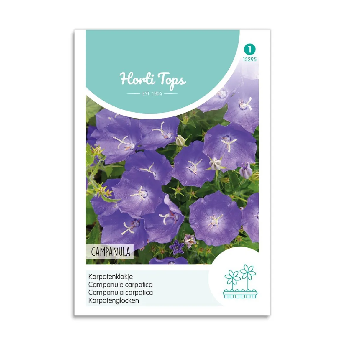 Karpaterklokke frø "Campanula"
