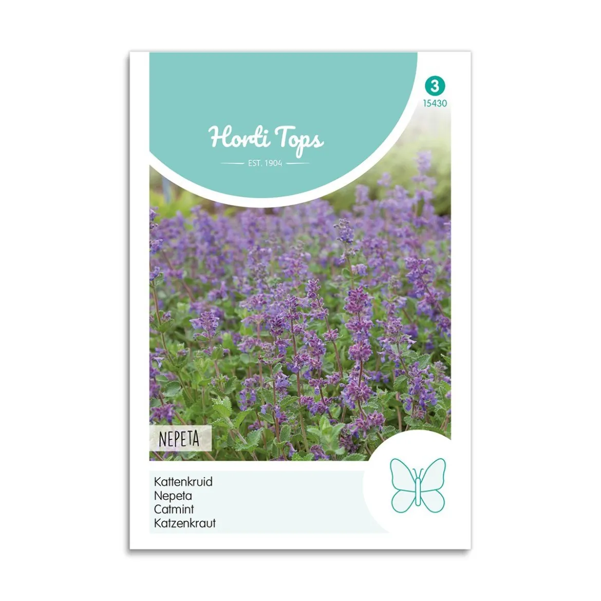 Katteurt frø "Nepeta"