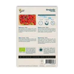 Økologisk Cherrytomat frø, Cerise