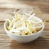 Økologiske mungbønnespirer frø - 250 g
