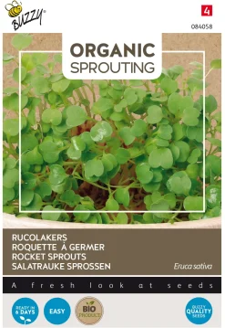 Økologiske rucolaspirer frø - 30 g