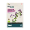 Økologisk Merian/ Oregano frø