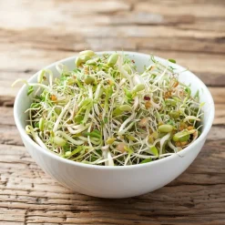 Økologisk salatmix spirer - 30 g