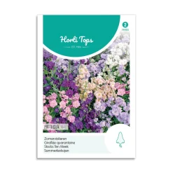 Levkøj frø "Matthiola"