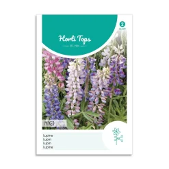 Lupin frø "Giant mix"