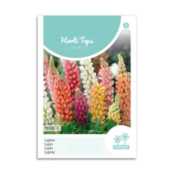 Lupin frø "Minarette mix"