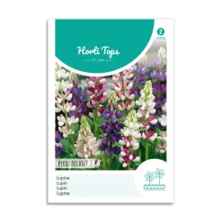 Lupin frø "Pixie delight"