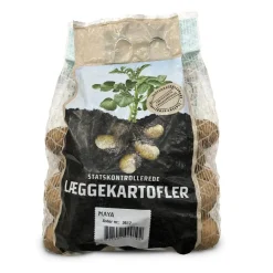 Maya læggekartofler - 1,5 kg. (tidlig)