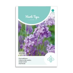 Natviol frø "Hesperis"