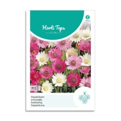 Papirblomst frø - mix