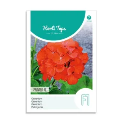 Pelargonie frø "Sprinter F1"