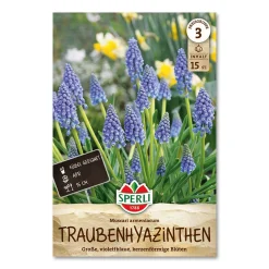 Perlehyacint 'Muscari Armeniacum'