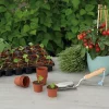 Plantepotte i plast Ø6 cm - 30 stk.