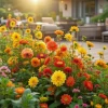 Pose med blandede blomsterløg, Sunny festival - 1 m2