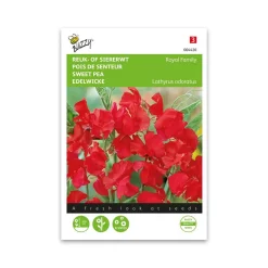 Ærteblomst frø,Royal Family red