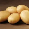 Sava læggekartofler - 1,5 kg. (sen)