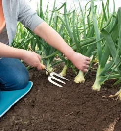 SOGO Plantegaffel 31 cm