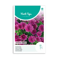 Sommer Asters frø "Bambina Carmine"