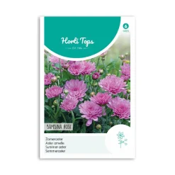 Sommer Asters frø " Bambina Rose"