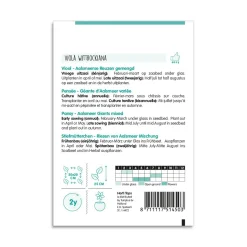 Stedmoderblomst frø - "Aalsmeer Giant Mixed"