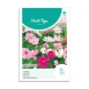 Stolt kavaler frø mix "Dwarf sensation"