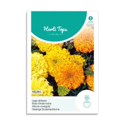 Tagetes frø "Maximix"