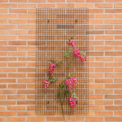Trådhegn 25 x 25 mm