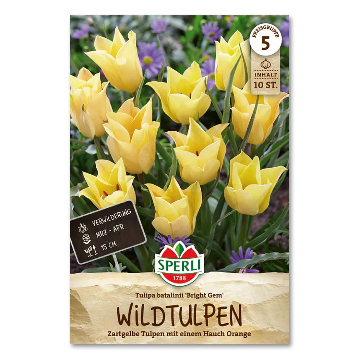 Tulipan 'Bright Gem'
