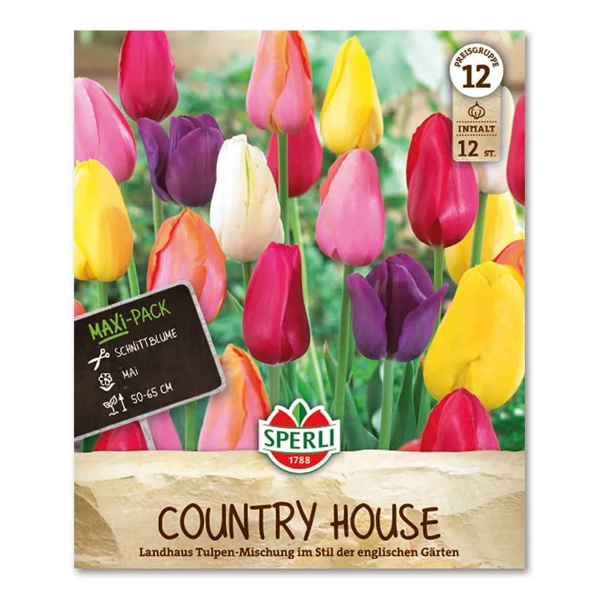 Tulipan 'Country House'