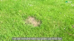 Turfline "GrassFix" græsfrø - 0,1 kg.