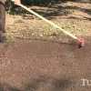 Turfline "sport" græsfrø - 1,0 kg